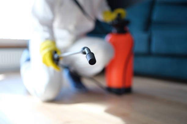 Best Air Quality Testing for Mold Spores  in Logan, UT
