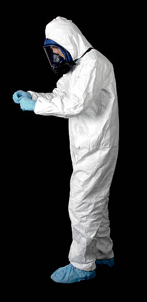 Reliable Logan, UT Mold Removal Solutions