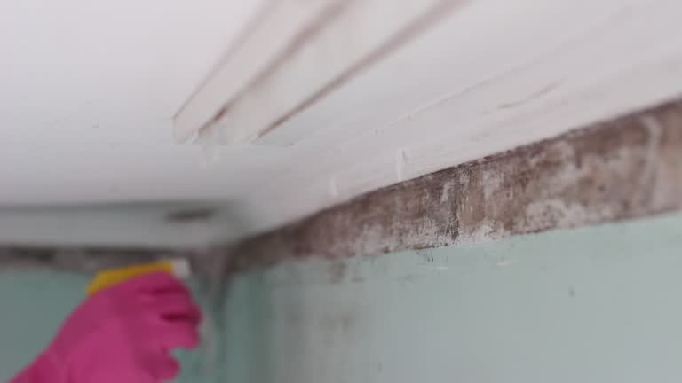 Dehumidification Services in Logan, UT